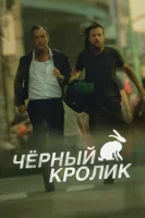 Чёрный кролик (2025) смотреть онлайн в HD
